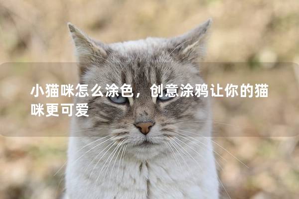 小貓咪怎么涂色，創意涂鴉讓你的貓咪更可愛