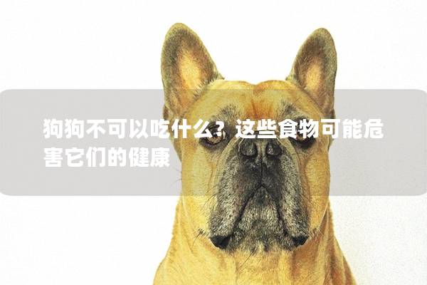 狗狗不可以吃什么？這些食物可能危害它們的健康