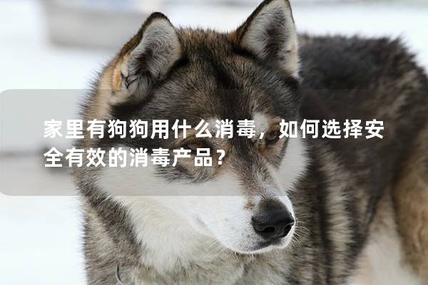 家里有狗狗用什么消毒，如何選擇安全有效的消毒產品？