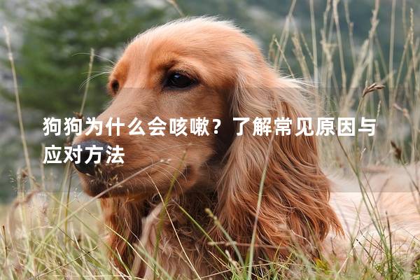狗狗為什么會咳嗽？了解常見原因與應對方法