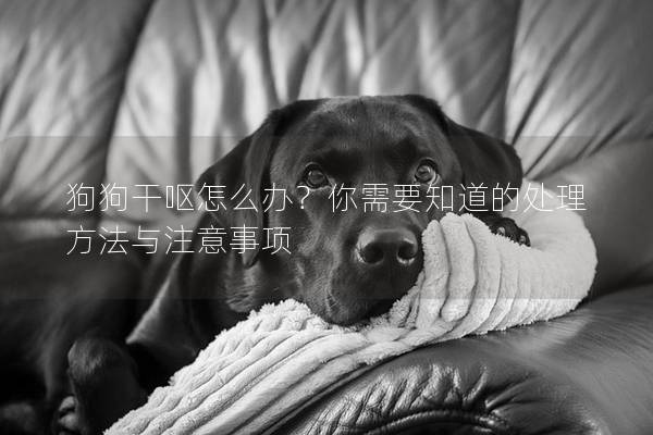 狗狗干嘔怎么辦?你需要知道的處理方法與注意事項 狗狗干嘔怎么辦?你需要知道的處理方法與注意事項
