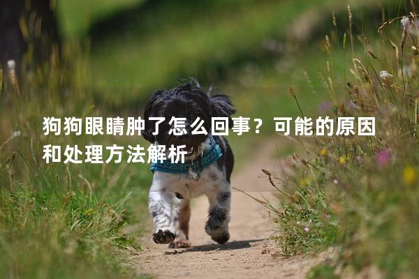 狗狗眼睛腫了怎么回事？可能的原因和處理方法解析