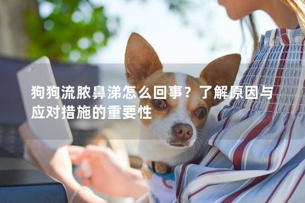 狗狗流膿鼻涕怎么回事？了解原因與應對措施的重要性