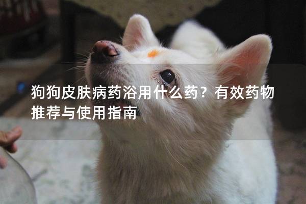狗狗皮膚病藥浴用什么藥？有效藥物推薦與使用指南