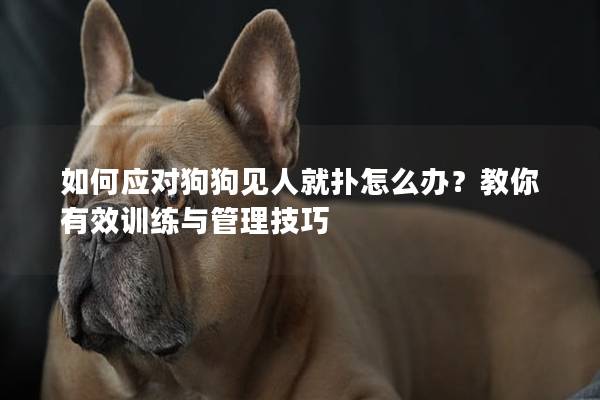 如何應(yīng)對(duì)狗狗見人就撲怎么辦？教你有效訓(xùn)練與管理技巧