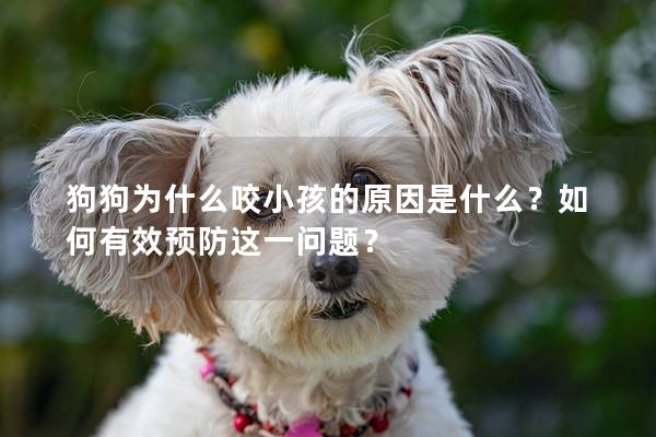 狗狗為什么咬小孩的原因是什么？如何有效預防這一問題？