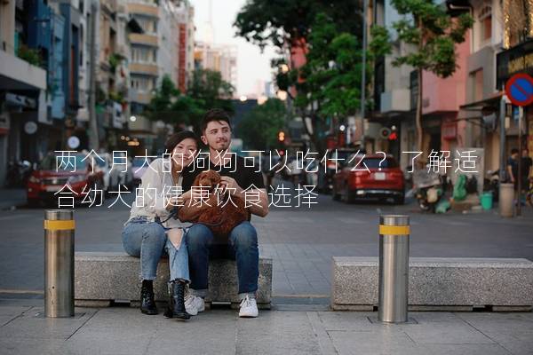兩個月大的狗狗可以吃什么?了解適合幼犬的健康飲食選擇 兩個月大的狗狗可以吃什么?了解適合幼犬的健康飲食選擇
