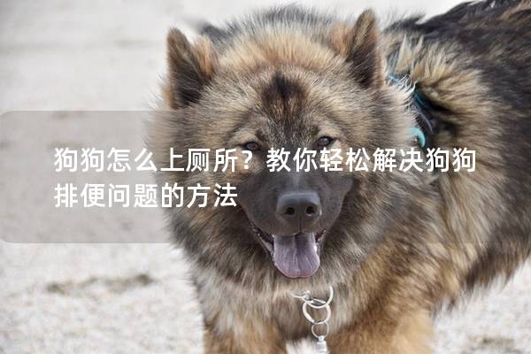 狗狗怎么上廁所？教你輕松解決狗狗排便問題的方法