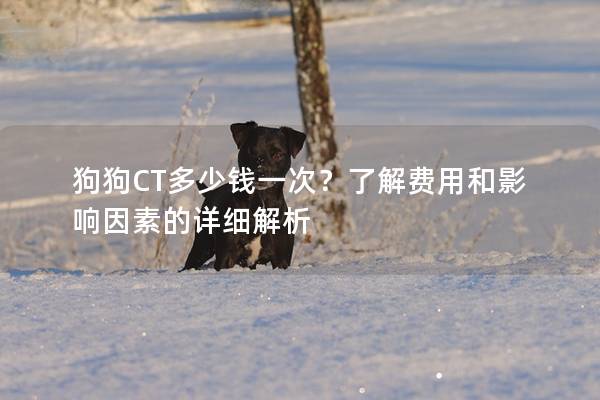 狗狗CT多少錢一次？了解費用和影響因素的詳細解析