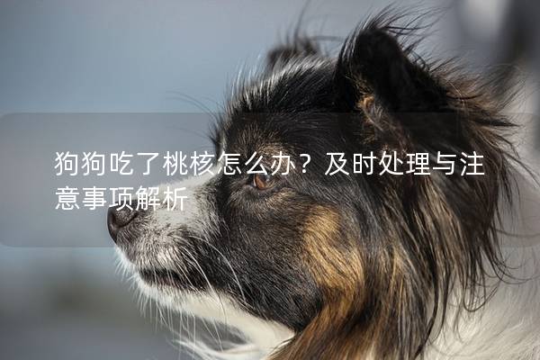 狗狗吃了桃核怎么辦？及時處理與注意事項解析