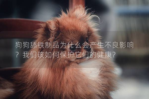 狗狗舔鐵制品為什么會產生不良影響？我們該如何保護它們的健康？