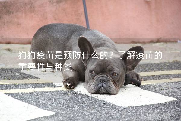 狗狗疫苗是預(yù)防什么的？了解疫苗的重要性與種類