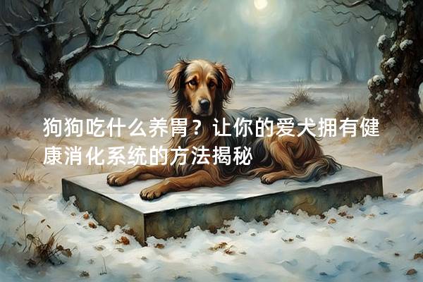 狗狗吃什么養胃？讓你的愛犬擁有健康消化系統的方法揭秘
