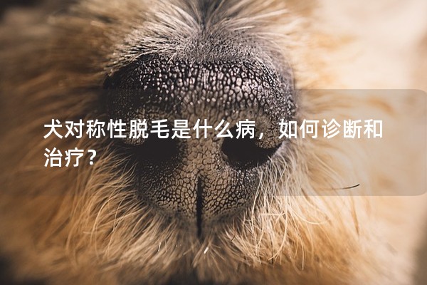犬對稱性脫毛是什么病,如何診斷和治療? 犬對稱性脫毛是什么病,如何診斷和治療?
