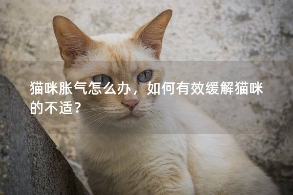 貓咪脹氣怎么辦，如何有效緩解貓咪的不適？