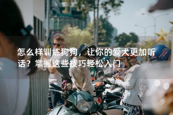 怎么樣訓練狗狗，讓你的愛犬更加聽話？掌握這些技巧輕松入門