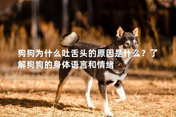 狗狗為什么吐舌頭的原因是什么？了解狗狗的身體語言和情緒