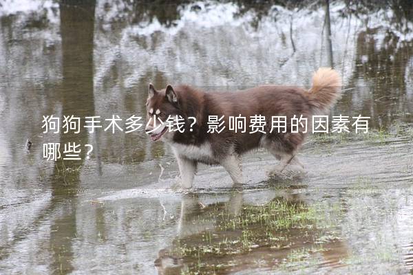 狗狗手術(shù)多少錢？影響費(fèi)用的因素有哪些？