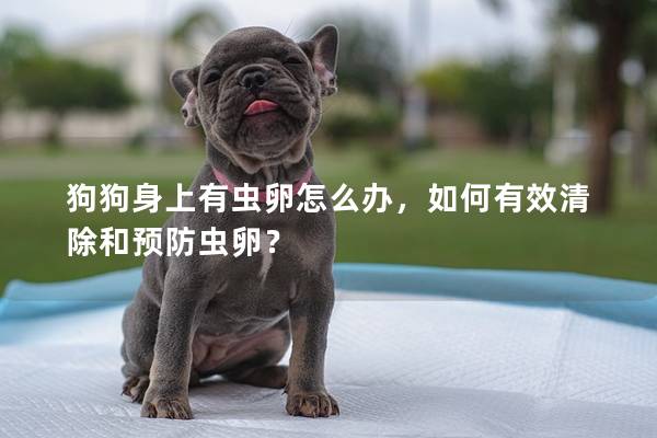 狗狗身上有蟲卵怎么辦，如何有效清除和預防蟲卵？