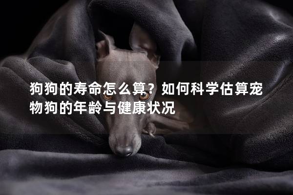 狗狗的壽命怎么算？如何科學(xué)估算寵物狗的年齡與健康狀況