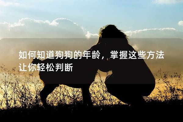 如何知道狗狗的年齡，掌握這些方法讓你輕松判斷