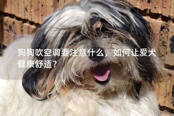 狗狗吹空調要注意什么，如何讓愛犬健康舒適？
