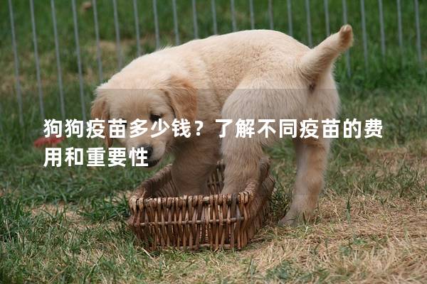 狗狗疫苗多少錢？了解不同疫苗的費用和重要性