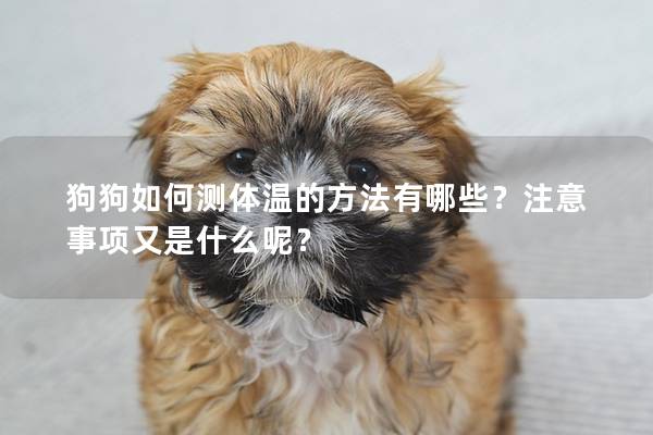 狗狗如何測體溫的方法有哪些？注意事項又是什么呢？