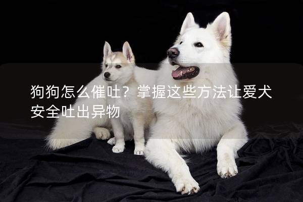 狗狗怎么催吐？掌握這些方法讓愛犬安全吐出異物