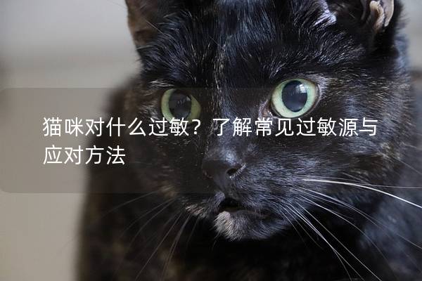 貓咪對什么過敏？了解常見過敏源與應對方法