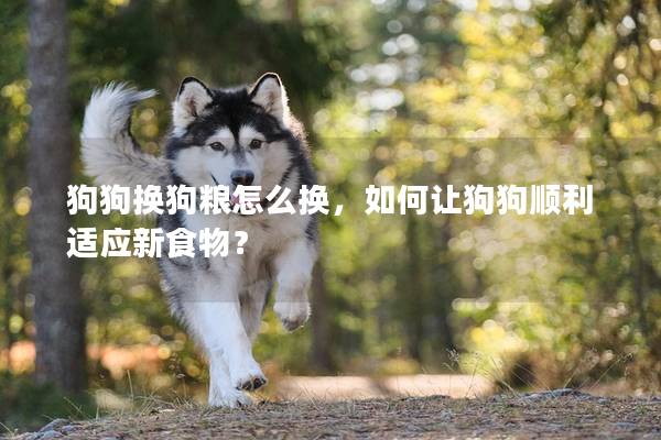 狗狗換狗糧怎么換，如何讓狗狗順利適應新食物？
