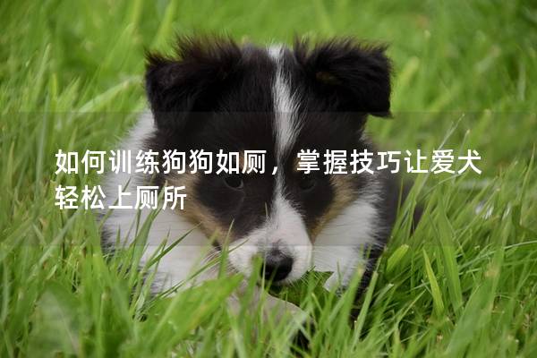 如何訓(xùn)練狗狗如廁,掌握技巧讓愛犬輕松上廁所 如何訓(xùn)練狗狗如廁,掌握技巧讓愛犬輕松上廁所