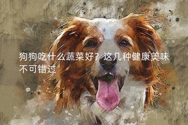 狗狗吃什么蔬菜好？這幾種健康美味不可錯(cuò)過
