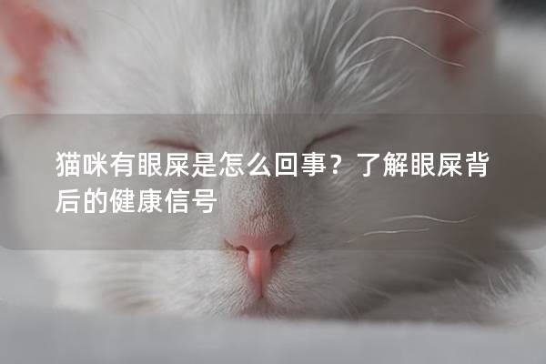 貓咪有眼屎是怎么回事?了解眼屎背后的健康信號