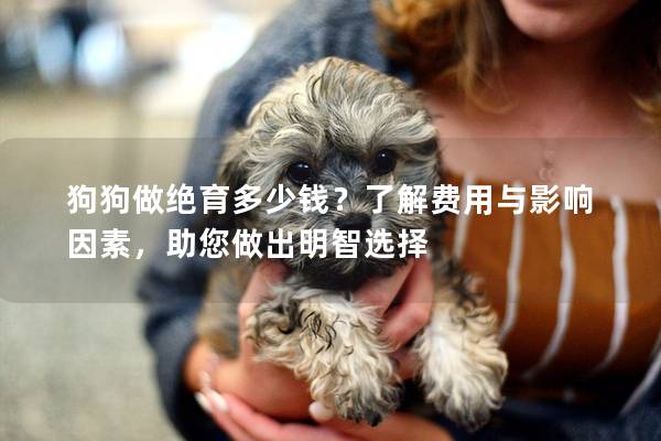 狗狗做絕育多少錢？了解費用與影響因素，助您做出明智選擇