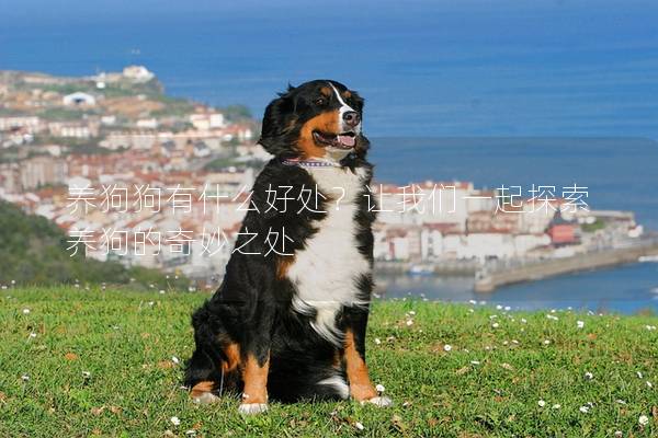 養狗狗有什么好處？讓我們一起探索養狗的奇妙之處