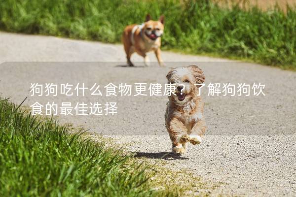 狗狗吃什么食物更健康？了解狗狗飲食的最佳選擇