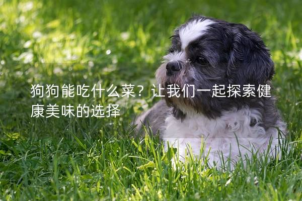 狗狗能吃什么菜？讓我們一起探索健康美味的選擇