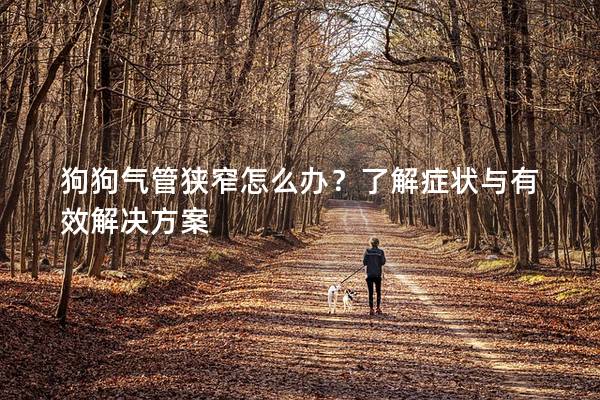 狗狗氣管狹窄怎么辦？了解癥狀與有效解決方案