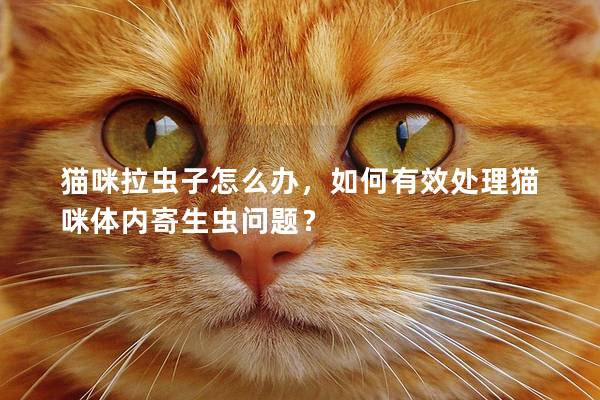 貓咪拉蟲子怎么辦，如何有效處理貓咪體內寄生蟲問題？