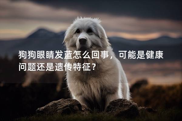 狗狗眼睛發藍怎么回事，可能是健康問題還是遺傳特征？