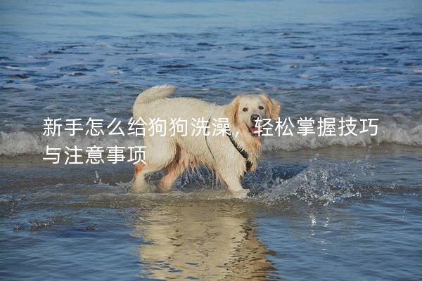 新手怎么給狗狗洗澡，輕松掌握技巧與注意事項