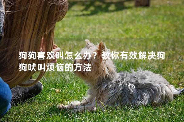 狗狗喜歡叫怎么辦？教你有效解決狗狗吠叫煩惱的方法