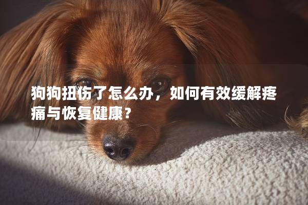 狗狗扭傷了怎么辦，如何有效緩解疼痛與恢復健康？