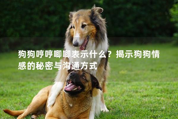 狗狗哼哼唧唧表示什么？揭示狗狗情感的秘密與溝通方式