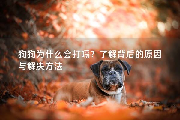 狗狗為什么會打嗝？了解背后的原因與解決方法