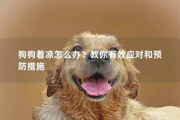 狗狗著涼怎么辦?教你有效應對和預防措施 狗狗著涼怎么辦?教你有效應對和預防措施