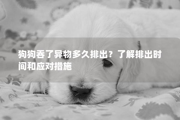 狗狗吞了異物多久排出？了解排出時間和應對措施