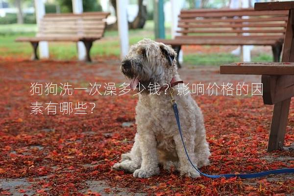 狗狗洗一次澡多少錢(qián)？影響價(jià)格的因素有哪些？