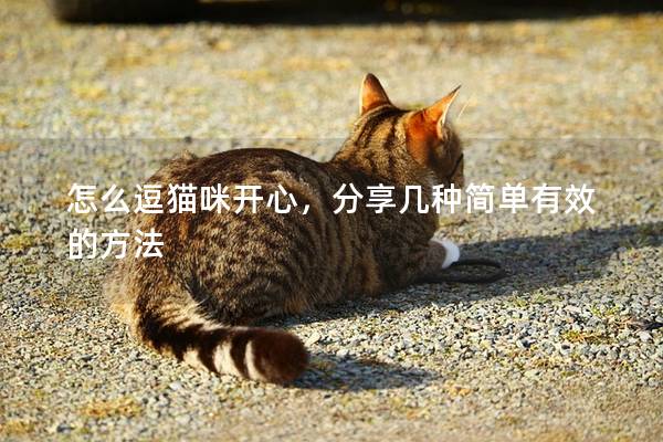 怎么逗貓咪開心，分享幾種簡單有效的方法